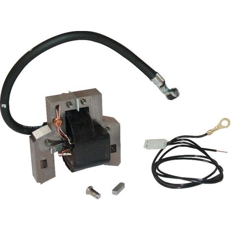 Zündspule 397358 - 697037 - 395491 BRIGGS et STRATTON