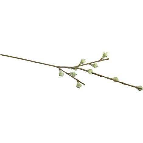 Branche de fruits d'eucalyptus 40cm