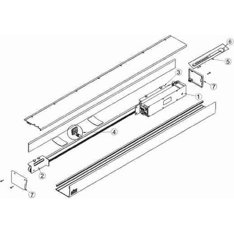 63063SD TÊTE SX/DX OLLY C