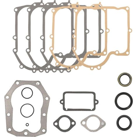 Kit Joints Moteur Pour Briggs 28M707 Joint Carburateur 28D707 286707 289707 494525 494241
