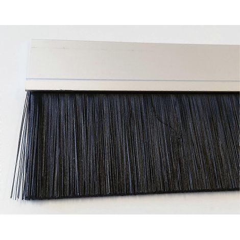 Joint brosse IBE100 Polypropylène Hauteur 100 mm Aluminium anodisé argent Traitement de surface avec brosse PP Hauteur 100 cm (1/2)