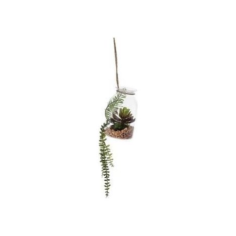 Plante grasse en bouteille de verre à suspendre, 9 x 11-40 cm (lot de 3)
