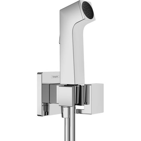 hansgrohe Bidette Handbrause 1-jet E EcoSmart für Kaltwasser, mit (1/3)