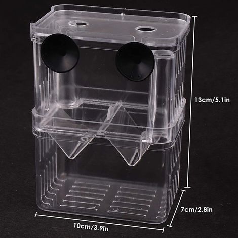 Doppelwandige, schwimmende Aufzucht- und Brütereibox aus Acryl (1/4)