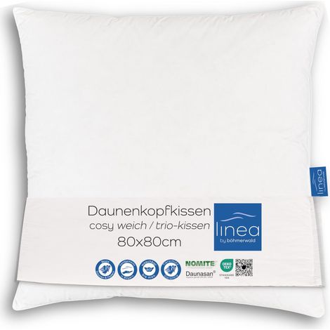 Oreiller Souple 3 Compartiments (Intérieur 100% Plumes, Extérieurs 90% Duvet/10% Plumes), 80 x 80 cm, Convient aux Allergiques, Lavable à 60 °C, Fabriqué en Allemagne (1/5)