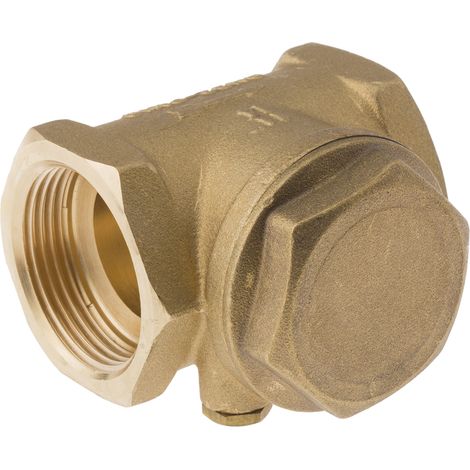 Clapet antiretour en Laiton RS PRO BSPP 1-1/4" ( Prix pour 1 )