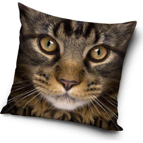 CARBOTEX HOUSSE DE COUSSIN 40 X 40 CM MOTIF VISAGE DE CHAT CAT