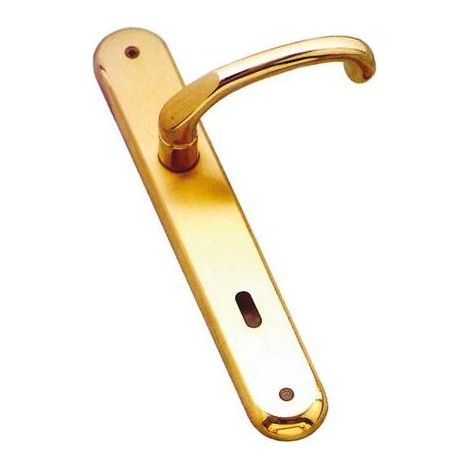 Maniglia per Porta con Placca - Foto Yale - modello Giada (1/2)