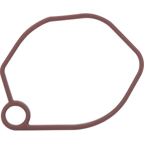 Guarnizione filtro aria motore rasaerba tagliaerba 1P75F LONCIN 170430177-0001