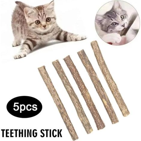 Masticable para la higiene dental de gatitos - Accesorio para mascotas