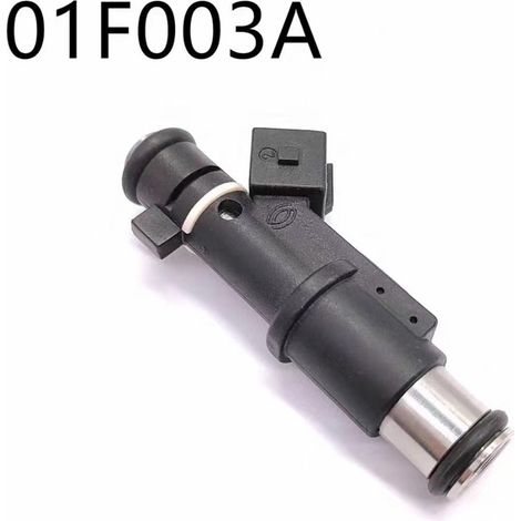 Kraftstoffeinspritzdüse 01F003A passend für Citroën Picasso Senna 2.0 und Peugeot 206 307 406 407. (1/4)