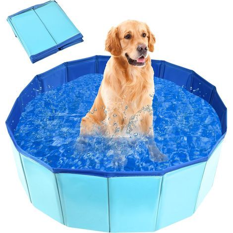 Faltbarer Hundepool, rutschfeste Badewanne, tragbarer Pool für Hunde und Katzen, für Haustiere und Kinder (60 x 20 cm), Blau (1/5)