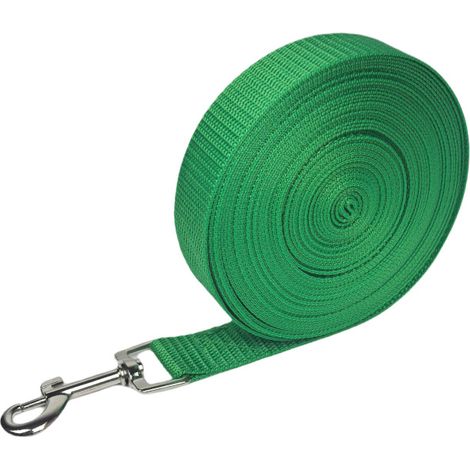 Longe pour Chien en Nylon Résistant, 3m, Laisse Chien Longue avec Poignée Rembourrée, Mousqueton Rotatif 360°- 3m