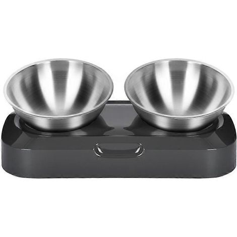 Gamelles pour chien et chat avec support surélevé, distributeur d'eau et de nourriture pour chiots, 15 pouces, double plateau incliné (1/5)