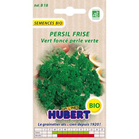 Graines de Persil Frisé Grüne Perle BIO - 3 grammes (1/5)