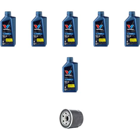 Kit filtro olio e 6L compatibile con Renault Scenic IV / Grand Scenic 1.5 Dci 81kw Dal 2016 (1/5)