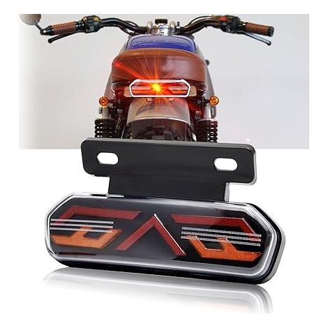 12V Feu arrière de Moto Universel Feu arrière de Moto Feu de Freinage Indicateurs de Clignotant Lampe de marche avec Support de plaque d'immatriculation (1/5)