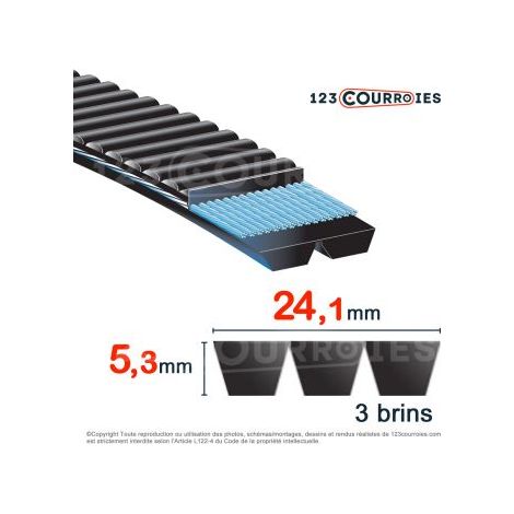 Courroie trapézoïdale polyuréthane Bando Banflex 3-7MS563