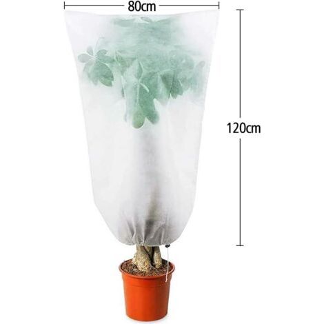 Lot de 4 housses d'hiver pour plantes d'extérieur, 80 x 120 cm (1/3)