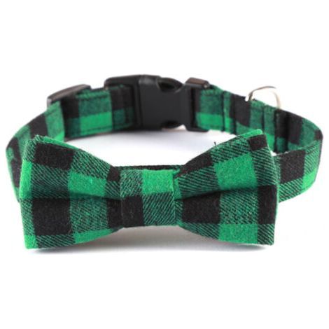 BUNTHAUS Collier pour chien vert et noir - Taille M (2,5 x 50 cm) - Matériau doux, réglable, design moderne (1/5)