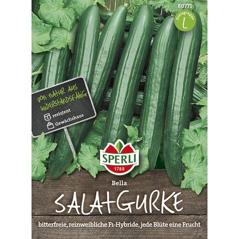 Sperli Salatgurken Bella F1 - Gemüsesamen (1/2)