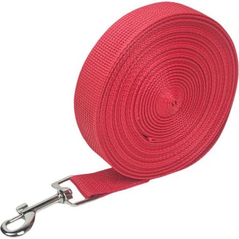 Longe pour Chien (10m ), Laisse de Dressage Chien avec Poignée Longe Chien Longue Sangle en Nylon Mains Libre pour Petits à Grands Chiens Animal de Compagnie Promenade Jogging (1/5)