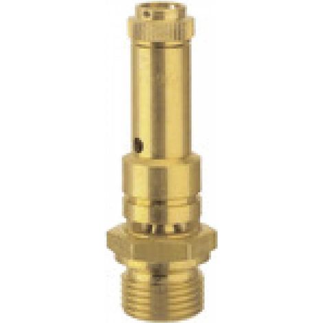 Riegler Sicherheitsventil DN 8, Messing, G 1/4, Ansprechdruck 3,2 bar (1/4)