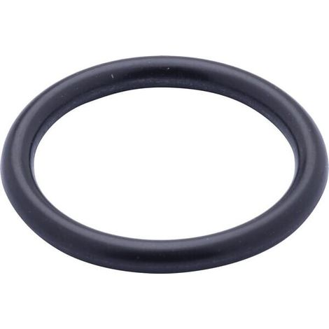 O-ring RECINSA 9827059N