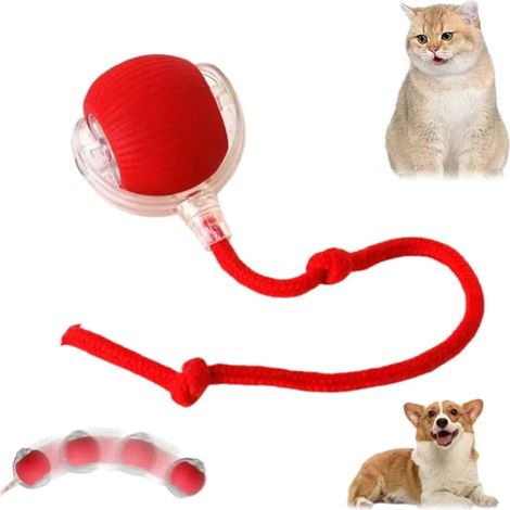 Palla rotolante, palla da masticare per cani, palla interattiva intelligente per cani, giocattolo interattivo per gatti, rosso intelligente automatico a 360° (1/5)