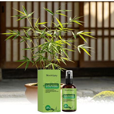 Spray nutritif pour plantes de bambou : nourrit et fait briller les feuilles, protège le feuillage, les fleurs et les plantes vertes – 100 ml (1/5)