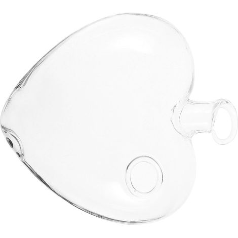 Pot de fleurs suspendu en verre forme cœur pour plantes aquatiques (1/5)