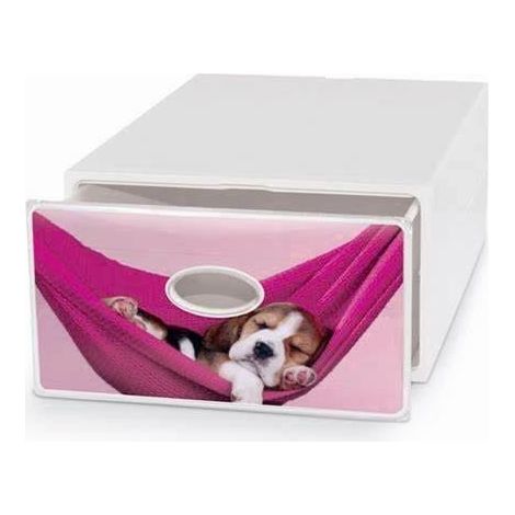 Qbox scatola porta tutto15x28x40 cm (1/6)