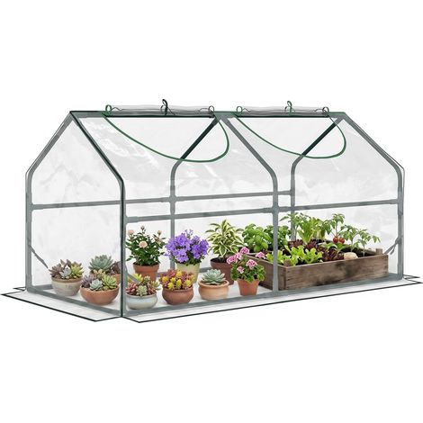 Serre de Jardin Mini Serre 2 Fenêtres 120 x 60 x 60 cm Transparent (1/5)