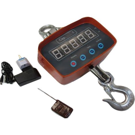 Digital Crane Scale 0.5T (Hanging Hook Hoist Electronic Industrial Ton) (1/5)