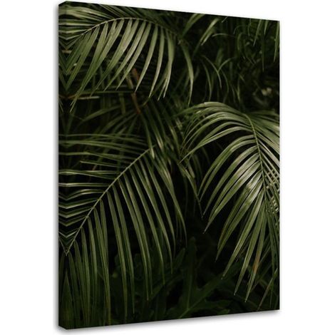Tableau décoratif Monstera Feuilles de palmier Botanique 70x100 (1/5)