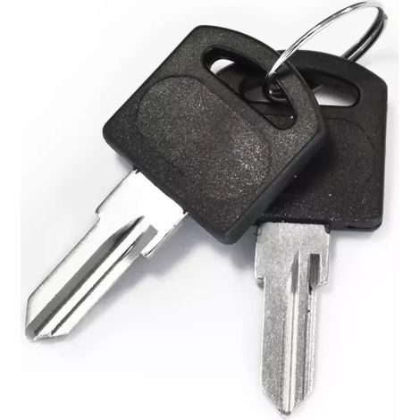 SCS Sentinel - Lot de 2 clés à graver, KeyGate