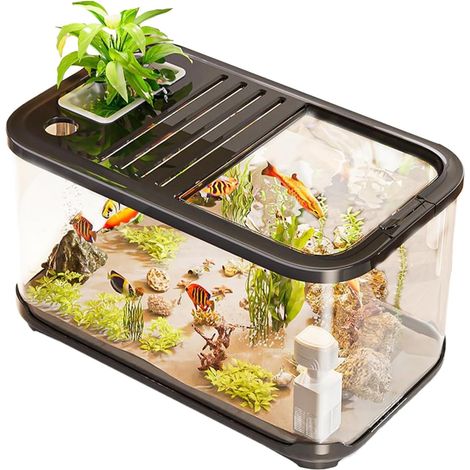 Betta Kit de bassin à poissons ventilé, avec marches,