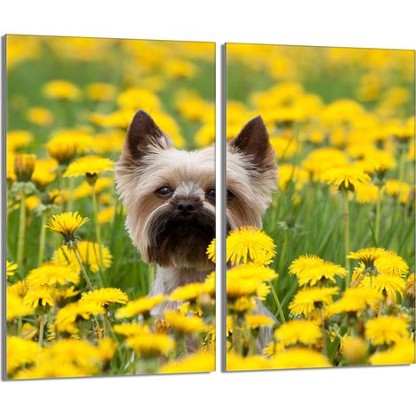 Placa protectora de vidrio para la estufa 2x30x52 Perro (1/5)