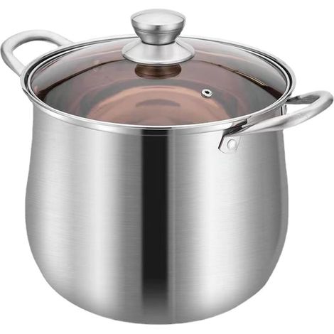 Casserole Profonde - Casserole En Acier Inoxydable Avec Panier À Vapeur Et Couvercle En Verre - Pour Bouillir Ragoût Simmering - 8,6 L