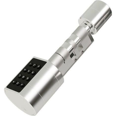 Serrure électronique, 70 mm, entraxe 35/35 à 100 mm, 50/50, réversible avec clé, capteur d'empreintes digitales, compatible avec l'application Tuya, Fe (1/4)