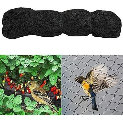 Filet Anti Oiseaux, 4m x 10m Filet Oiseaux, Filet Protection Oiseaux, Filet Arbre Fruitier, Filet Oiseaux Noir Protégez Arbres Fruitiers Et Les Légume des Dommages Causés (1/5)