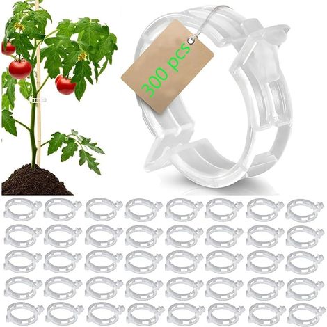 Lot de 300 clips de support pour plantes - Pinces à tomates en plastique - Pour treillis de vigne de raisin, vigne de tomate, vigne, vigne, plantes - Rend les plantes plus saines pour tomate, (1/5)