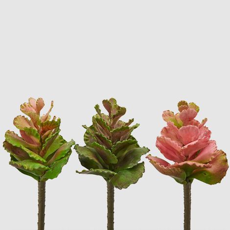 EDG Succulenta artificiale 'Olis' Real Touch H20 cm Verde/Rosa Assortito