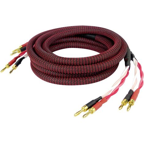 Dynavox 207297 Perfect Sound cavo altoparlante 2 x 2 m Nero (1/5)
