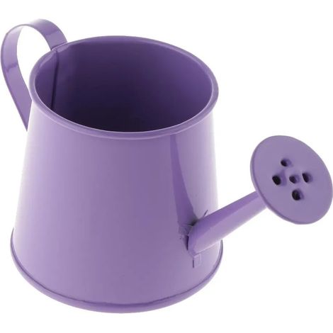 Petit arrosoir en fer vase en fer couleur (1/5)