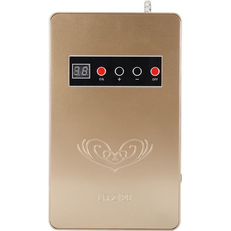 Générateur d'ozone 50 Hz 600 mg/h pour traitement de l'eau, des aliments et des légumes (doré), prise UE 220 V (1/5)