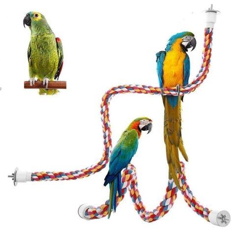 2 Pièces Perroquet Corde à Grimper Jouets Oiseaux pour Perroquets Perchoirs pour Oiseaux Balanoire en Corde de Coton Colorée Jouets Oiseaux pour Oiseaux Perroquets Perroquets Gris Perruches