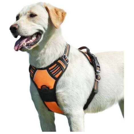 Orange, L,Harnais Chien, Harnais Anti Traction pour Chien Réfléchissant Réglable, Facile à Mettre, avec Poignée Contrôle, Arnet pour Chien Respirant, Durable, Harnais pour Chien Moyen et Grand (1/5)