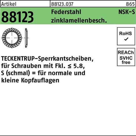 Sperrkantscheibe R 88123 NSK-S 6 Federstahl zinklamellenb. 1000St. TECKENTRUP
