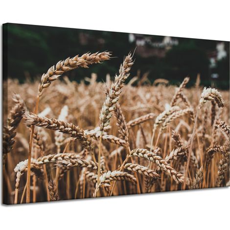 Leinwanddruck „Weizenfeld“ (120 x 80 cm) – Erntezeit